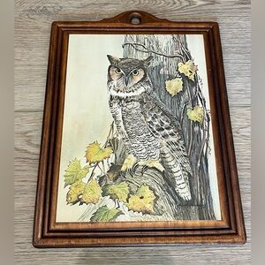 Vintage Bar Owl Wall Art with Wooden Frame